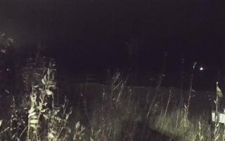 Władysławowo - plaża zachód - 13-12-2025 21:59