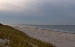 Dębki Zachód - 01-11-2025 14:32