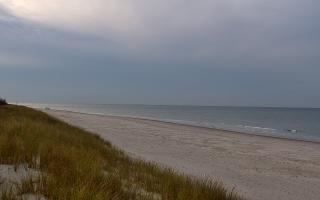 Dębki Zachód - 01-11-2025 14:46