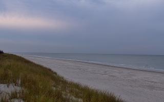 Dębki Zachód - 01-11-2025 15:01