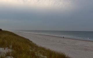 Dębki Zachód - 01-11-2025 15:15