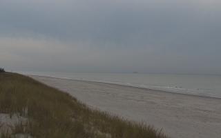 Dębki Zachód - 01-11-2025 15:29