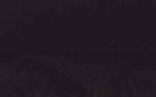 Dębki Zachód - 01-11-2025 19:20