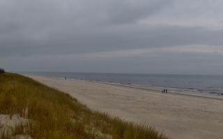 Dębki Zachód - 02-11-2025 11:01