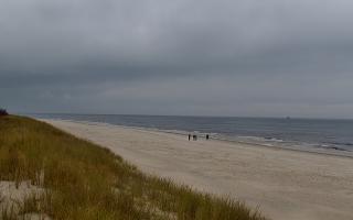 Dębki Zachód - 02-11-2025 11:15