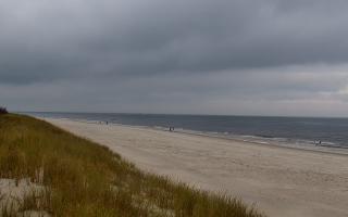 Dębki Zachód - 02-11-2025 11:30