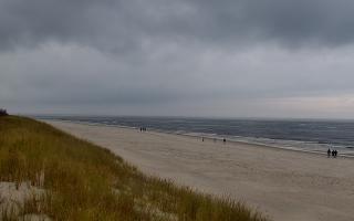 Dębki Zachód - 02-11-2025 11:44