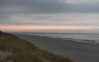 Dębki Zachód - 02-11-2025 14:37