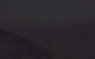 Dębki Zachód - 02-11-2025 17:58