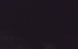 Dębki Zachód - 03-11-2025 02:22