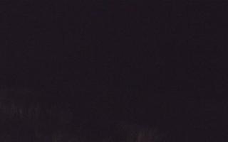 Dębki Zachód - 03-11-2025 02:51