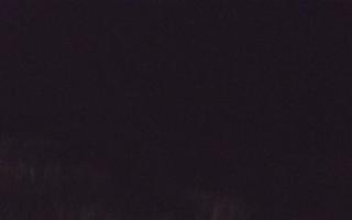 Dębki Zachód - 03-11-2025 03:34