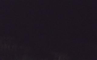 Dębki Zachód - 03-11-2025 04:02