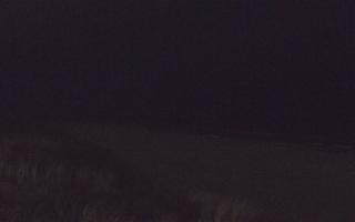 Dębki Zachód - 13-12-2025 15:45