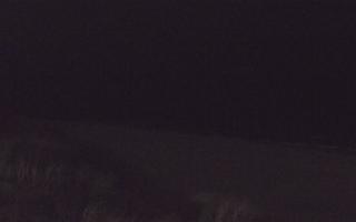 Dębki Zachód - 13-12-2025 16:28