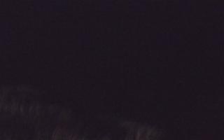 Dębki Zachód - 16-12-2025 20:58