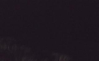 Dębki Zachód - 17-12-2025 05:14