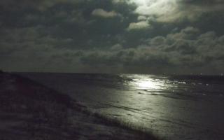 Dębki Zachód - 31-01-2026 04:22