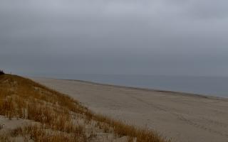 Dębki Zachód - 17-03-2026 09:41