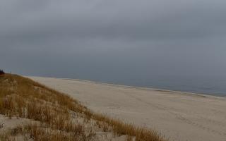 Dębki Zachód - 17-03-2026 10:39