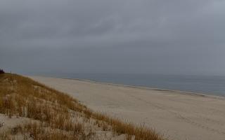 Dębki Zachód - 17-03-2026 10:53