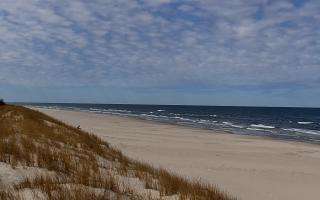 Dębki Zachód - 28-04-2026 11:15