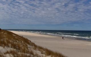 Dębki Zachód - 28-04-2026 11:30