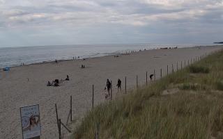 Dębki wschód - 02-08-2025 15:59