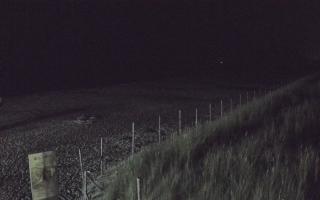 Dębki wschód - 02-08-2025 21:30