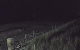 Dębki wschód - 02-08-2025 21:44