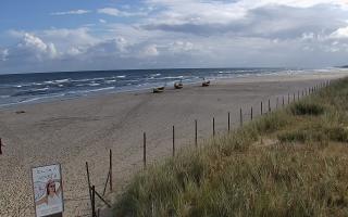 Dębki wschód - 17-09-2025 07:21