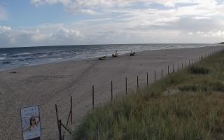 Dębki wschód - 17-09-2025 07:35