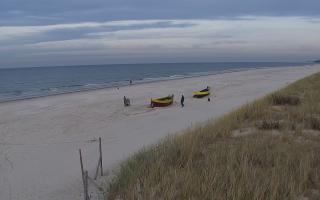 Dębki wschód - 01-11-2025 14:32