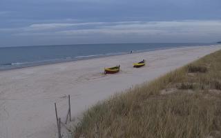 Dębki wschód - 01-11-2025 14:46