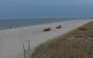 Dębki wschód - 01-11-2025 15:29