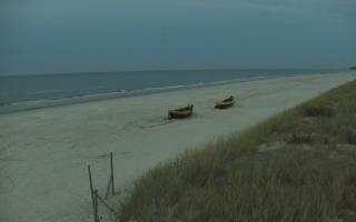 Dębki wschód - 01-11-2025 15:44