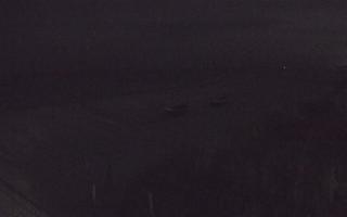 Dębki wschód - 01-11-2025 16:27