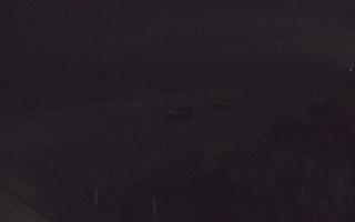 Dębki wschód - 01-11-2025 16:41