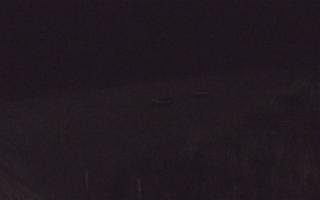 Dębki wschód - 02-11-2025 04:32