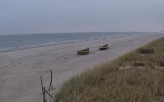 Dębki wschód - 02-11-2025 07:11