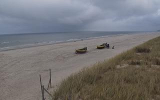 Dębki wschód - 02-11-2025 09:20