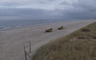 Dębki wschód - 02-11-2025 10:18