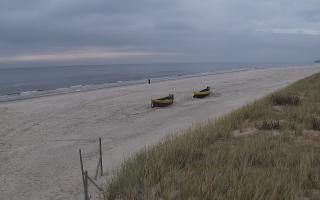 Dębki wschód - 02-11-2025 11:15