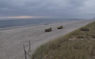 Dębki wschód - 02-11-2025 11:30