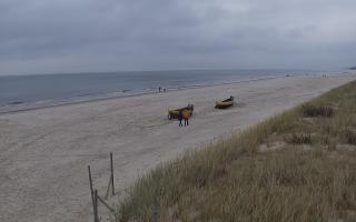 Dębki wschód - 02-11-2025 12:56