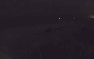 Dębki wschód - 02-11-2025 16:46