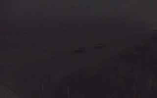 Dębki wschód - 02-11-2025 17:44