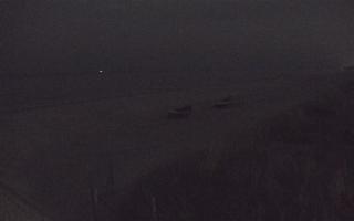 Dębki wschód - 02-11-2025 18:13