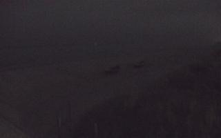 Dębki wschód - 02-11-2025 18:27