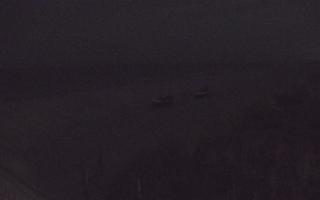 Dębki wschód - 03-11-2025 00:12